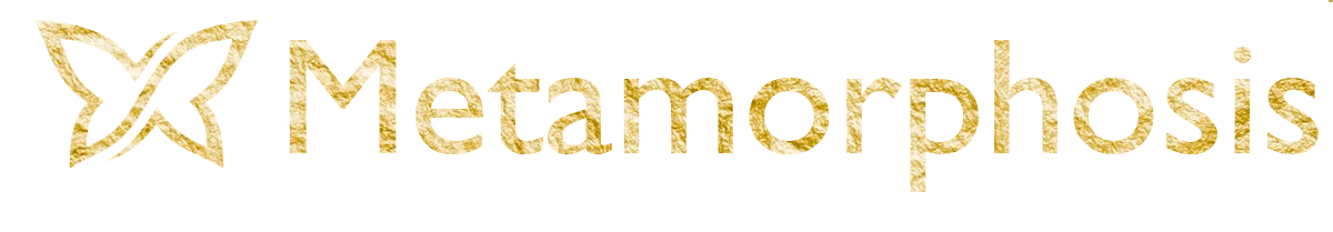 meta-logo-large